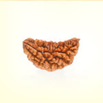 1 Mukhi Rudraksha - Image 2