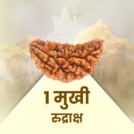1 Mukhi Rudraksha