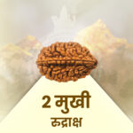 2 Mukhi Rudraksha