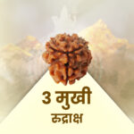 3 Mukhi Rudraksha
