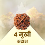 4 Mukhi Rudraksha