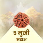 5 Mukhi Rudraksha