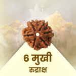 6 Mukhi Rudraksha